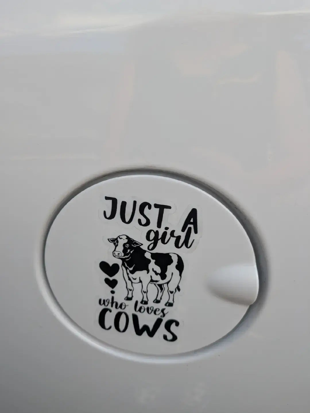 Just a girl who loves cows